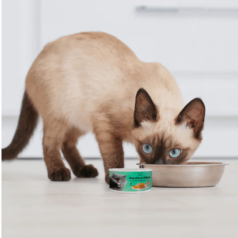 Purrfect Pâté for cat - no bundle