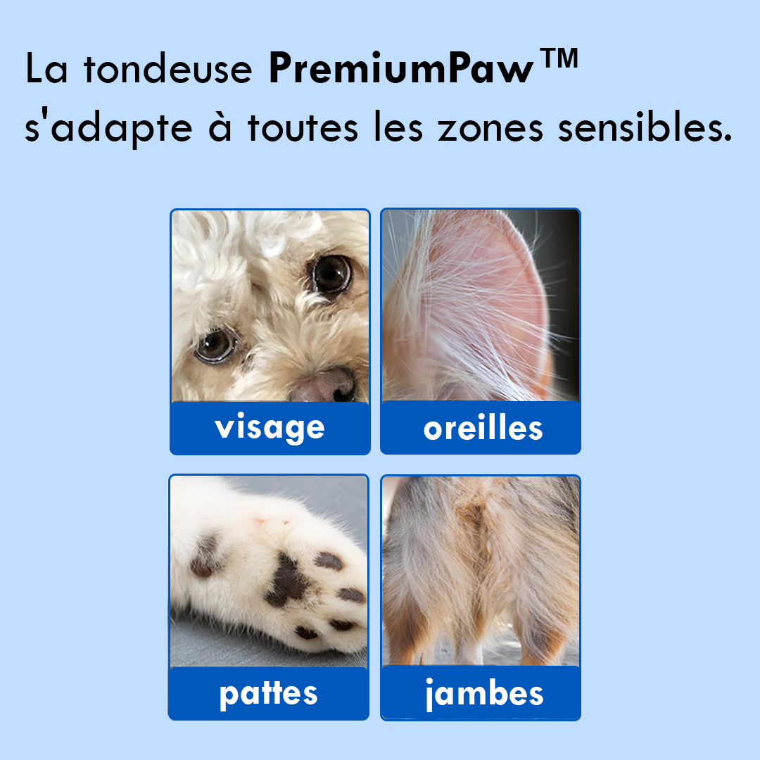 [Moon Test] - Theo PremiumPaw™ - Tondeuse vétérinaire