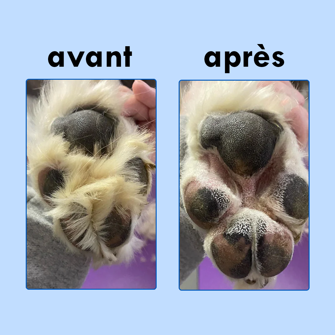 [Moon Test] - Theo PremiumPaw™ - Tondeuse vétérinaire