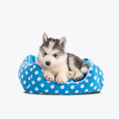 Soft round pet bed with natural cotton