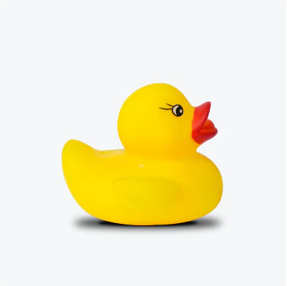 Yellow duck made from rubber anise
