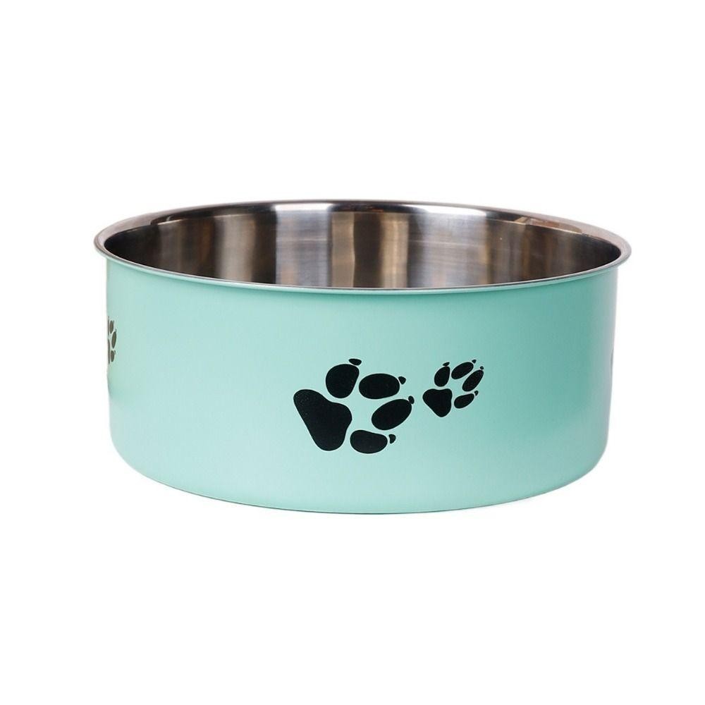 Bowl of dry cat food