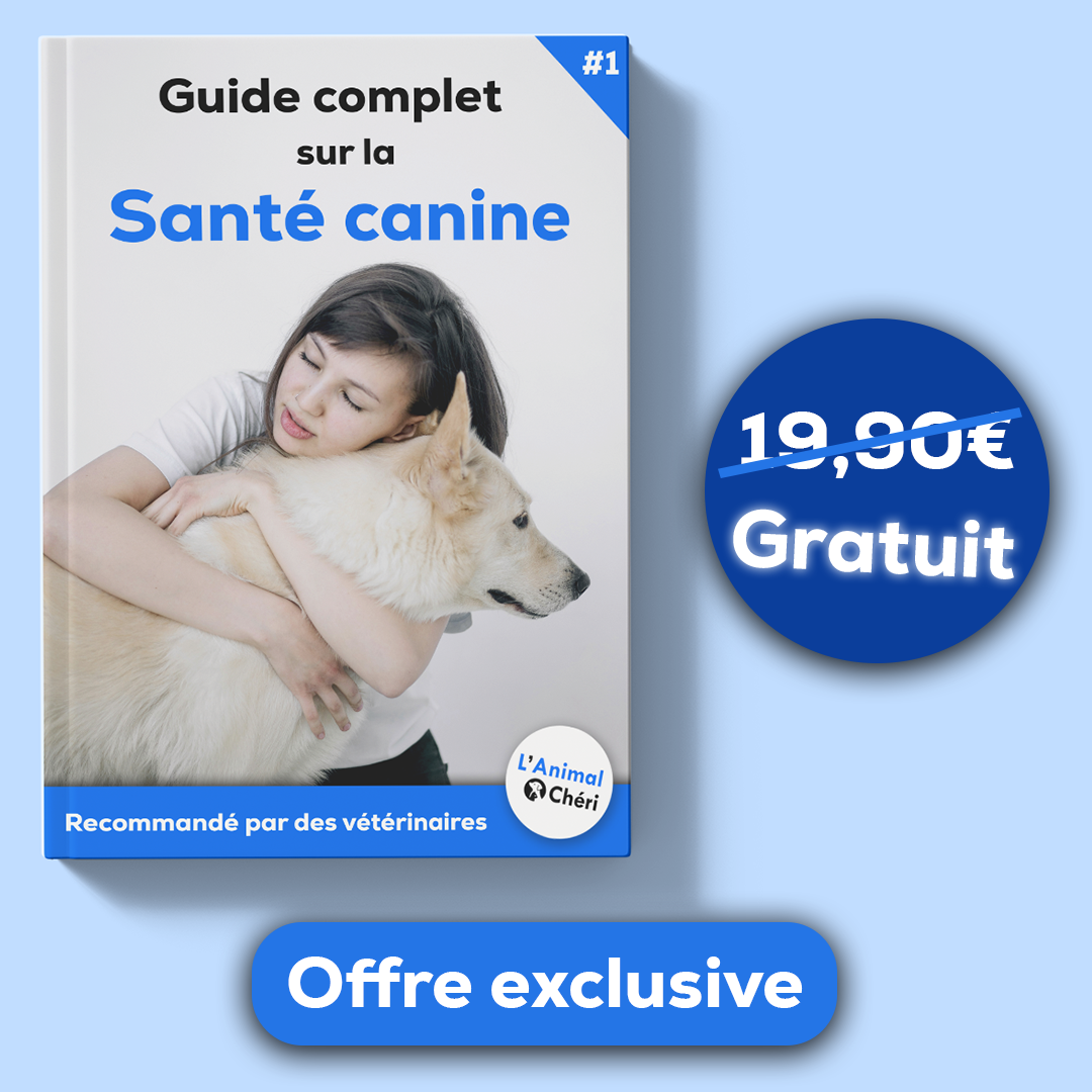 [Moon Test] - Theo PremiumPaw™ - Tondeuse vétérinaire